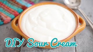 How to Make Sour Cream  Gemmas Bold Baking Basics Ep 21 [upl. by Ninon207]