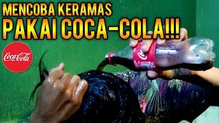 EKSPERIMEN KERAMAS PAKAI COCA COLA Bukan Pomade [upl. by Niad]