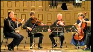 Mozart  Quintetto per corno e archi in Mi b maggiore KV 407  2 Andante [upl. by Bjork]