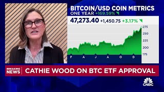 ARK Invest CEO Cathie Wood Our base case for bitcoin is 600000 bull case 15 million by 2030 [upl. by Cini]