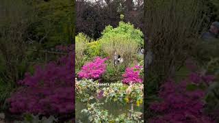 Monet’s Garden Giverny France [upl. by Eidualc]