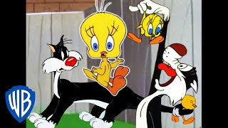 Looney Tunes  I Taut I Taw a Putty Tat  Classic Cartoon Compilation  WB Kids [upl. by Enial]