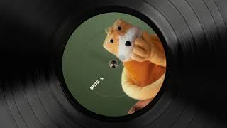 Mr Oizo  Rythme Plat Official Audio [upl. by Genesa]