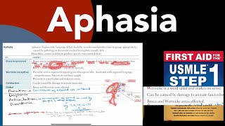 Aphasia Brocas Wernickes Condection amp global aphasia in HindiUrdu by first aid forUSMLE step1 [upl. by Blackman]