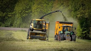 Gras häckseln mit New Holland FR 500  FENDT  Loonbedrijf Wesselink Shortclip [upl. by Schuster]