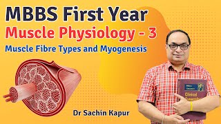 MBBS First Year  Muscle Physiology  Muscle Fibre Types and Myogenesis  Dr Sachin Kapur  AIIMS [upl. by Amliw26]