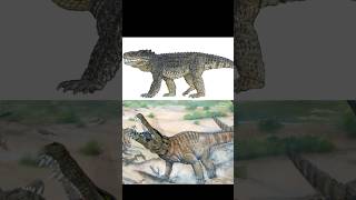 CROCODILO TERRESTRE NO PALEOCENO  MESOZOICO ZOADO dinossauros mesozoicozoado fossil [upl. by Imalda765]