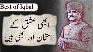 TameereKhudi Mein Hai Khudai  Kalameiqbal  BaleJibril 051  Shayari allamaiqbal iqbaliyat [upl. by Mckenna]