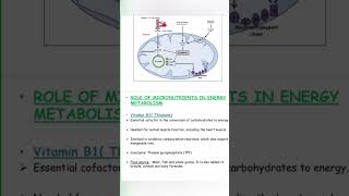 Role of Micronutrients in Energy Metabolismcoenzyme mcatbiology viral biochemistry vitamins [upl. by Ahtekal]