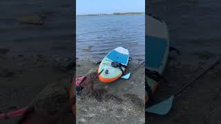 ANGLESEY Camping Costal Path Paddle Boarding and Beach Walk with Dog  Roz shorts [upl. by Adnoek]