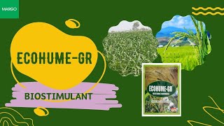 Ecohume Gr  The Biostimulant from MARGO Paddy [upl. by Tice]