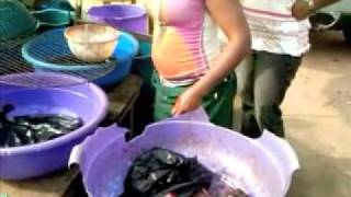 Nigerian Food how to Point amp Kill fish NaijaStyle [upl. by Web]