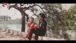 Pellantune Vedekkinde Video Song  Nari Nari Naduma Murari Movie  Balakrishna Shobana Nirosha [upl. by Amzaj]