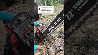 cara stel Rantai chainsaw mini chainsawmini chainsaw [upl. by Airakaz]