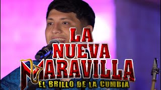 La Nueva Maravilla  La Cumbia del Sapito EN VIVO 2022 [upl. by Hniv557]