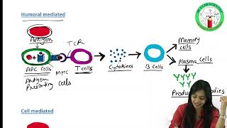 Antigen PART I  Types of Antigens  Immunogenicity  Antigenicity  Complete amp Incomplete Antigens [upl. by Violet]