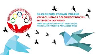 Międzynarodowe Targi Poznańskie  Pigeon Olympiad  Olimpiada Gołębi 2019 [upl. by Eurd374]