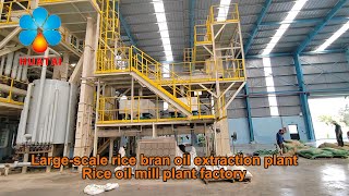 🚀Inside the Automated 100TPD Rice Bran Oil Extraction Plant  Rice Bran manufacturing linemachine [upl. by Peyter]