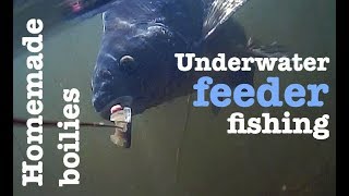 Homemade boilies  Underwater feeder fishing  Breamtime S3 E4 [upl. by Renraw]