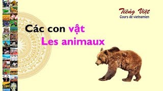 Apprendre le vietnamien ★ CÁC CON VẬT 1 ★ Comment dire les ANIMAUX les plus connus en vietnamien ★ [upl. by Eileek]