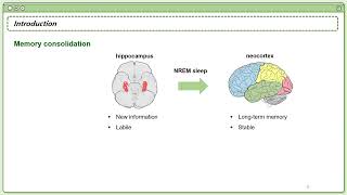 저널미팅Hippocampal interictal spikes during sleep impact long term memory consolidation [upl. by Fraze]