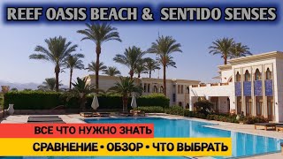 Sentido Reef Oasis Senses Resort [upl. by Akaenahs]