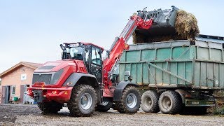 Weidemann – Teleskopradlader 9580T Einsatz in der Landwirtschaft [upl. by Yetti]