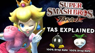 The Super Smash Bros Brawl TAS Is Incredible  Subspace Emissary 100 Explained [upl. by Cohby]