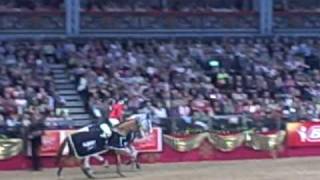 Olympia Horse Show 08 Lap of Honour 6 Bar [upl. by Ramel]