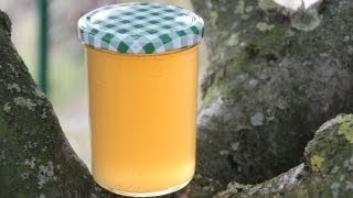 Apfelgelee Rezept  Der Bio Koch 550 [upl. by Gwynne685]