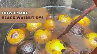 How to make natural dye from black walnuts [upl. by Aires273]