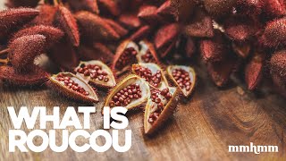 What is Roucou Annatto Extract [upl. by Ardehs]