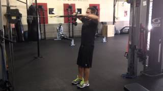 Face Pull Exercise Form Tip [upl. by Tremain]