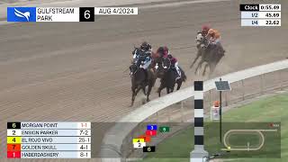 Gulfstream Park Carrera 6  4 de Agosto 2024 [upl. by Aisatna]