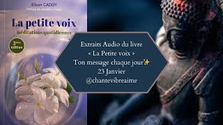 La petite voix  23 Janvier ✨ Message conseil du jour amp méditation  Extrait audio du livre [upl. by Nyladnor]