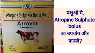 Atropine Sulphate bolus uses details in hindifood poisoning in cattle [upl. by Baptist59]