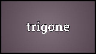 Trigone Meaning [upl. by Bannasch]