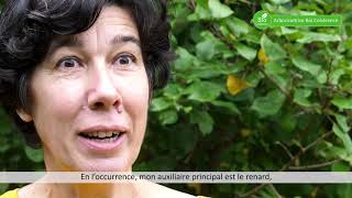 Bio Coherence  arboriculture et biodiversité [upl. by Entirb]