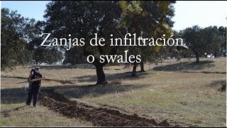 Swales zanjas infiltración Agricultura Regenerativa [upl. by Limbert]