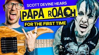 Pro Bassist hears PAPA ROACH for the FIRST Time [upl. by Lledal624]