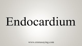 How To Say Endocardium [upl. by Elwina]