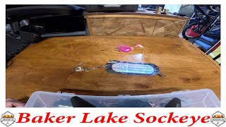 Baker Lake Sockeye Salmon Dodger Setup  LightsDodgerLure  sockeye kayakfishing trending [upl. by Aiderfla610]