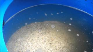 Cleaning Sand Gravel Filter elapsed time [upl. by Ahso]