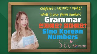 Ch 61 Sino Korean Numbers Value  Time Month and Date Phone Numbers How to BuyShop in Korean [upl. by Ahsennod]