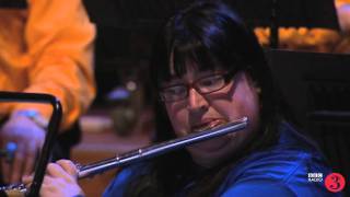 BBC National Orchestra of Wales  Woodwind [upl. by Oicirtap713]