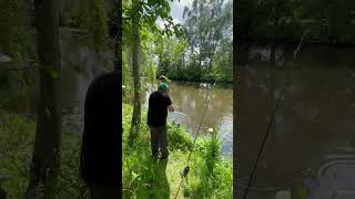 Nęcenie wertykalne carpfishing carp fishing feeder wędkarstwo łowca funny funnyvideo [upl. by Orpheus]