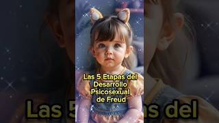 Las 5 Etapas del Desarrollo Psicosexual de Freud Freud Psicología Desarrollo Personalidad [upl. by Noreik]