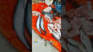 ✅Amazing fish cutting বরো কাতল ও পাঙাস মাছ fish cutting fishfood fishing village viralvideo [upl. by Lotte977]