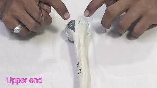 humerus bone anatomy  side determination  parts  attachments  Applied Anatomy [upl. by Aiyt]