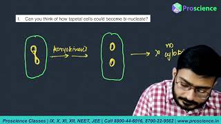 Can you think how tapetal cells can become binucleate [upl. by Okika]